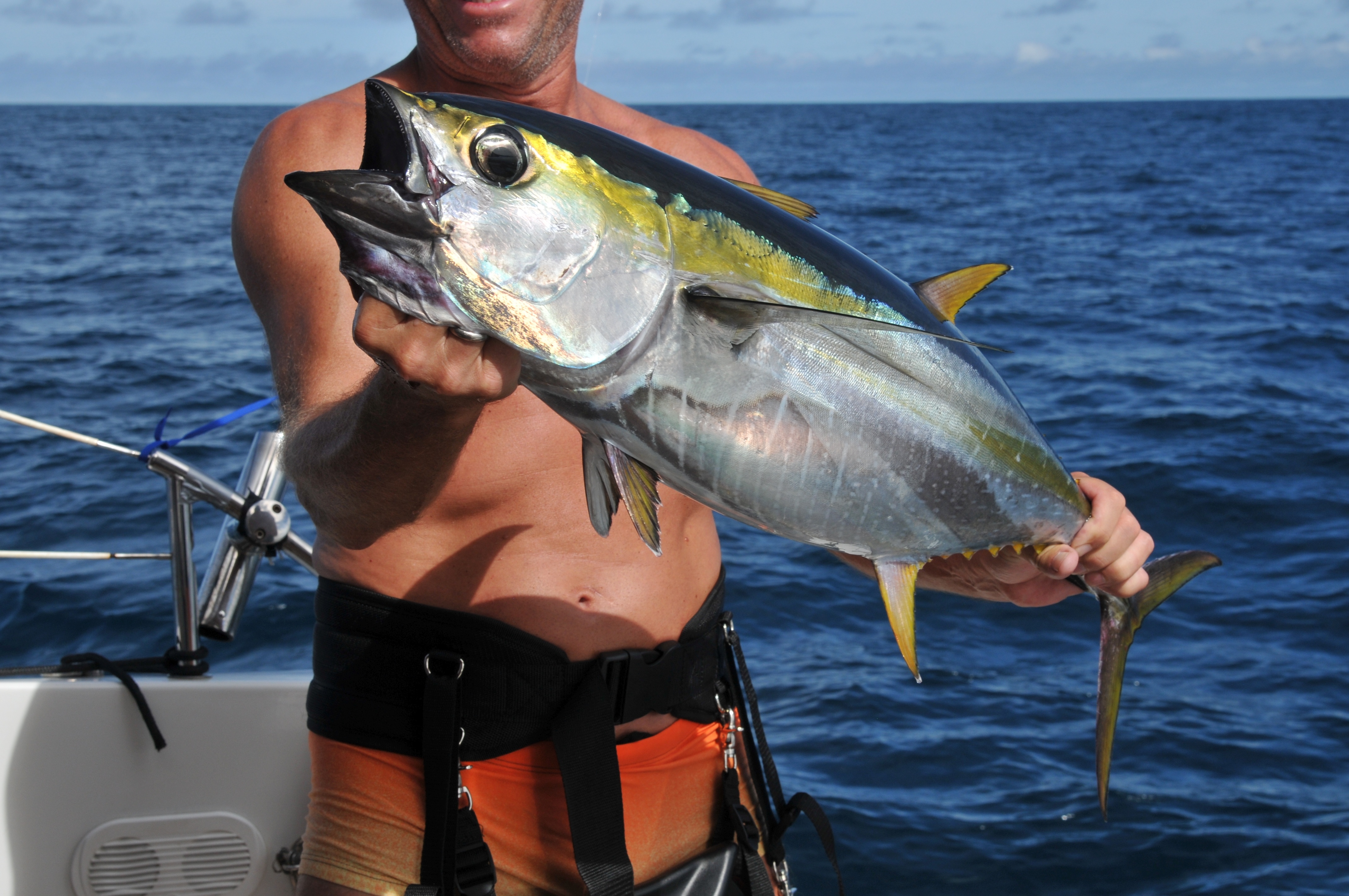 Fishing while sailing